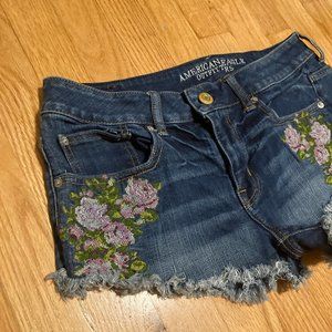 American Eagle Low Rise Embroidered Denim Shorts